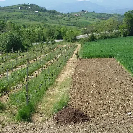 Sapori Di Bea