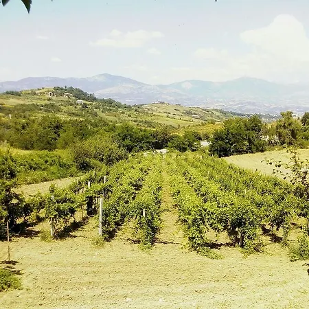 Sapori Di Bea