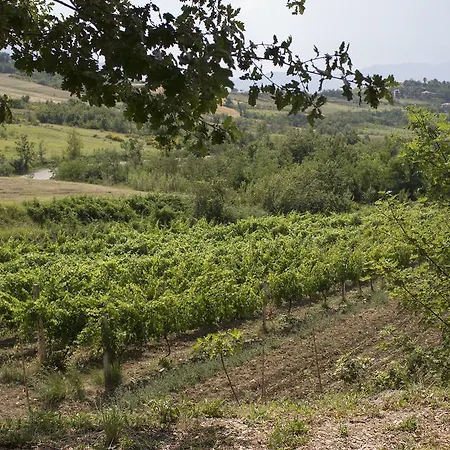 Sapori Di Bea Farm stay