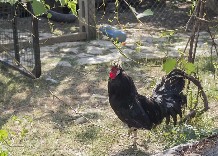 Farm stay Sapori Di Bea Abbateggio