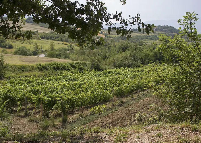 Sapori Di Bea Farm stay