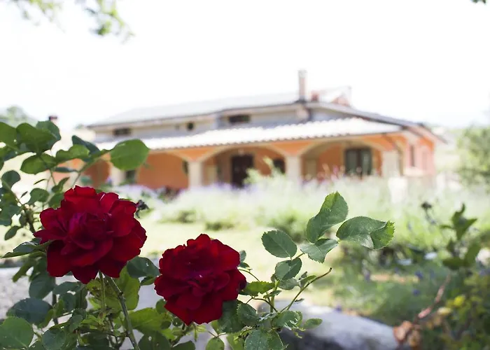 Sapori Di Bea Farm stay